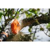 Акумулаторна кастрачка STIHL HTA 135
